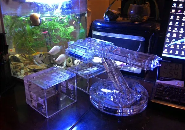 big-ant-house (1)