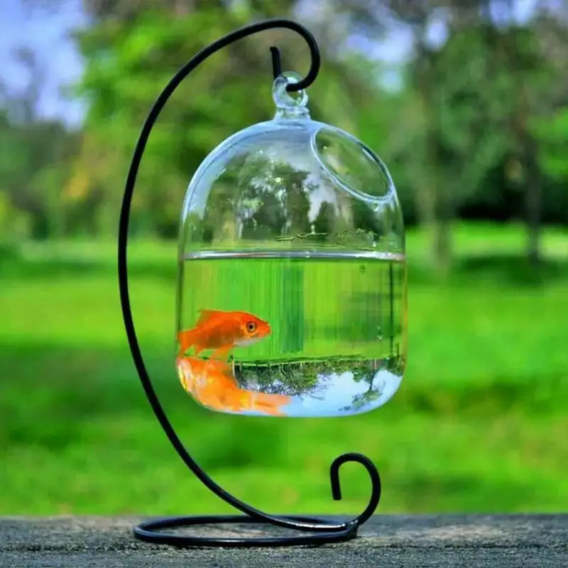 

Innovative Clear 15cm Height Hanging Glass Aquarium Fish Bowl Fish Tank Flower Plant Vase with 23cm/9.06in Height Rack Fishbowls