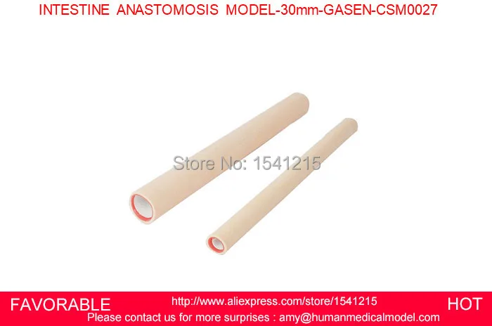 

MEDICAL ORGAN MODELS MEDICAL TRAINING MANIKINS MEDICAL SIMULATION MODELS MANIKIN INTESTINE ANASTOMOSIS MODEL- GASEN-CSM0027
