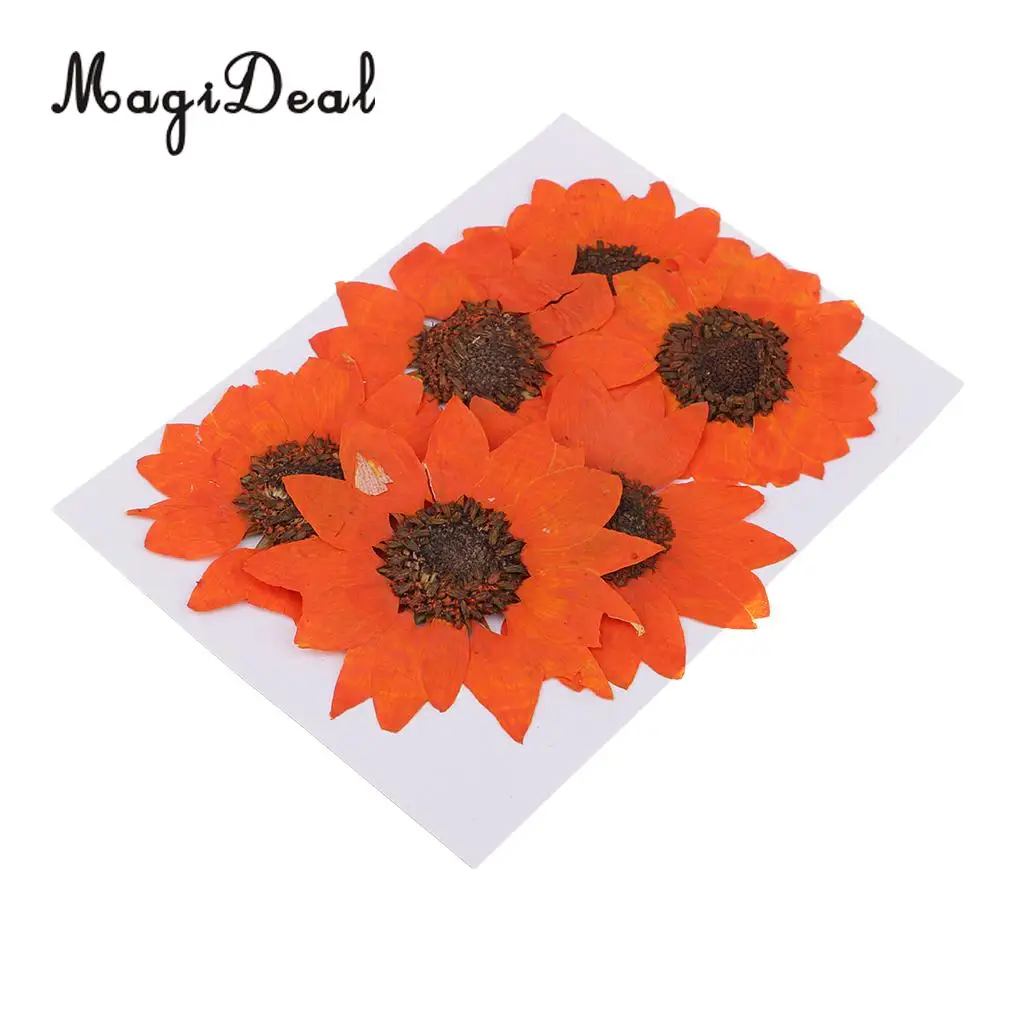 6 Pieces Pressed Natural Real Dried Flowers Sunflower for DIY Resin Ornament Craft Christmas Xmas Card Making Decoration