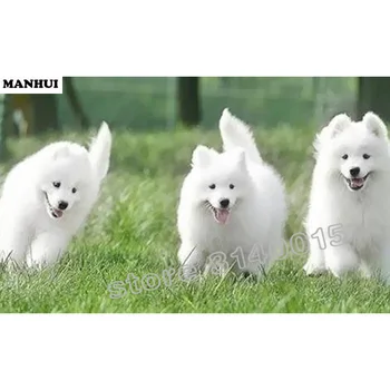 

100% DIY 5D Diamond Mosaic Animal Three Dog Handmade Diamond Painting Cross Stitch Kits Diamond christmas Embroidery BFC334