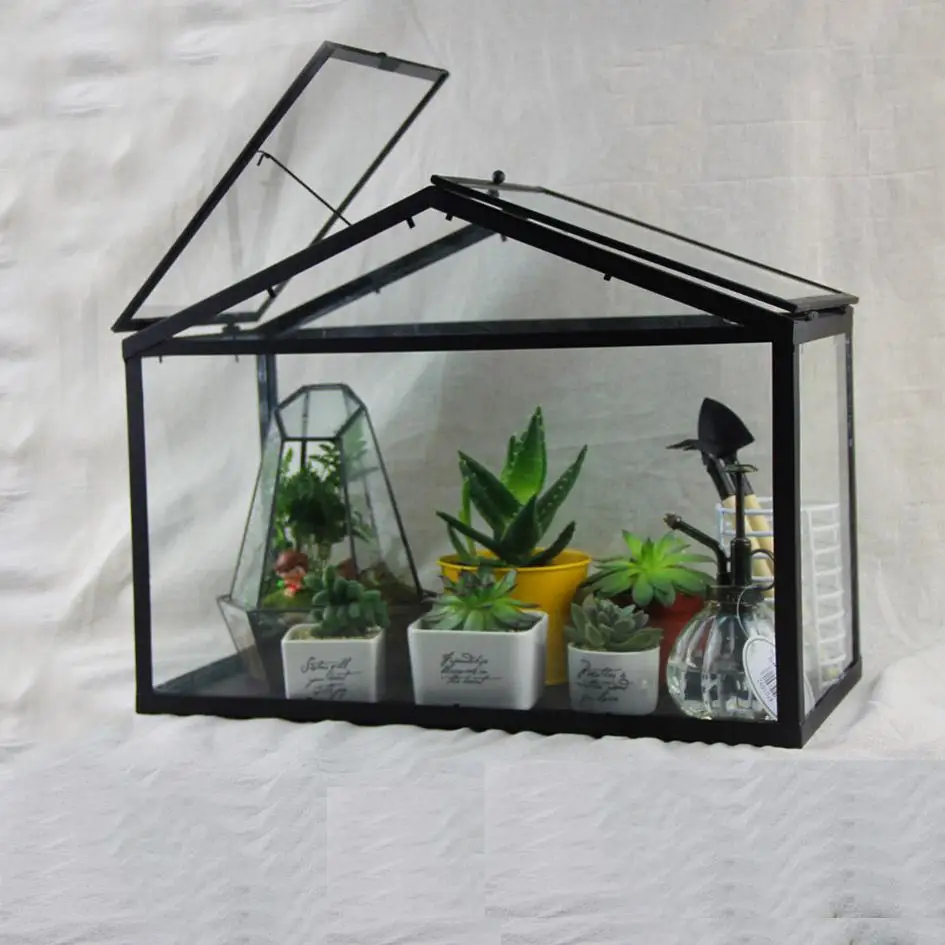 Buy Free Shipping Modern Glass Geometric Terrarium