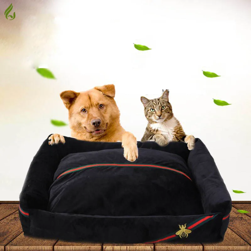 5111780949_785345603