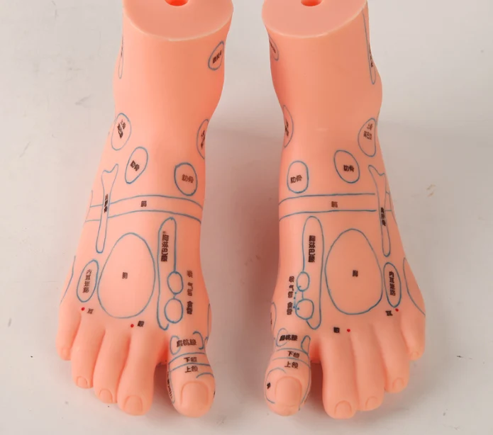 Free Shipping!! New Style Female Mannequin Foot Manikin Best Quality