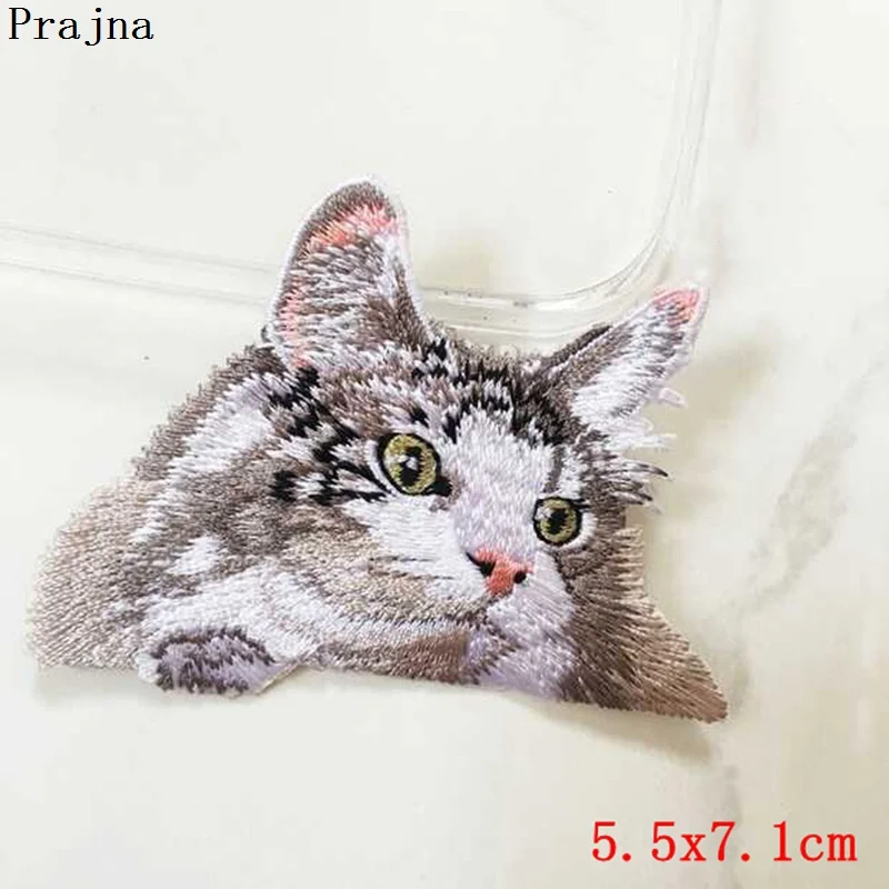 PE1686CT