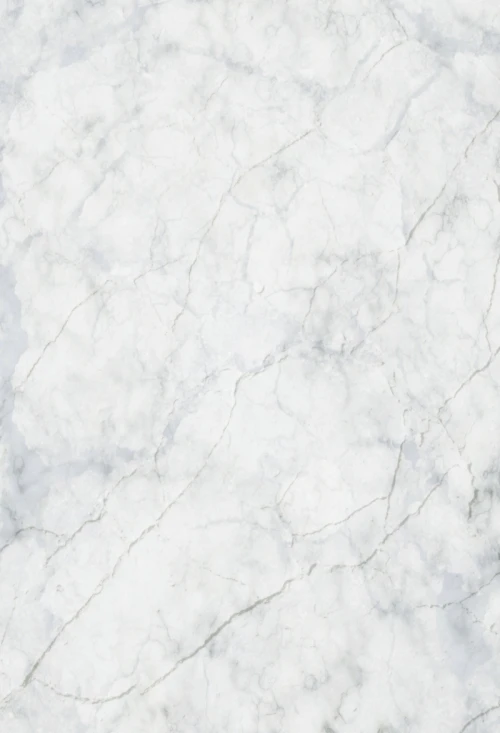 Photography Backdrop digital printed customize newborns vinyl photo background studio marble wall photo booth backdrops XT-4214