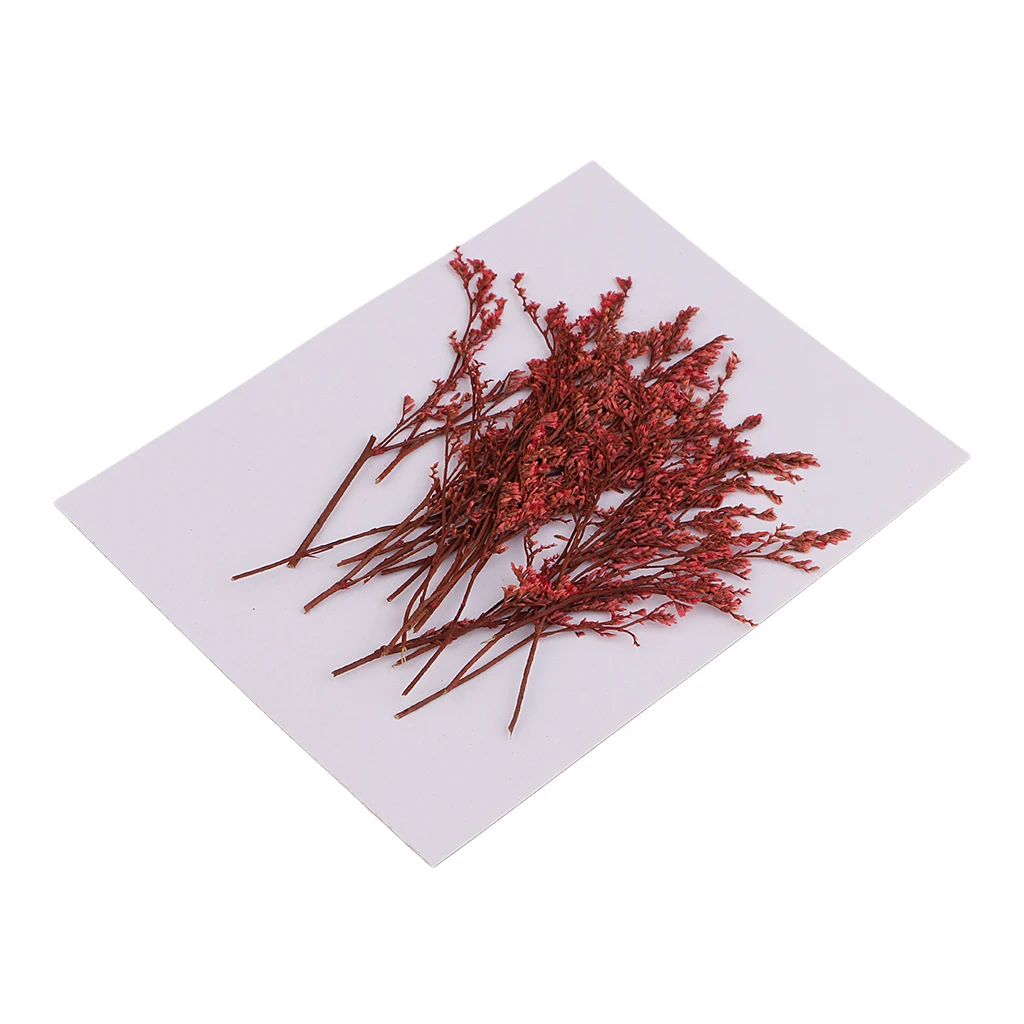 20 Pieces Dyed Red Limonium Dried Flowers Embellishments for DIY Phone Case Decoration Handmade Resin Casting Ornament 7-10cm