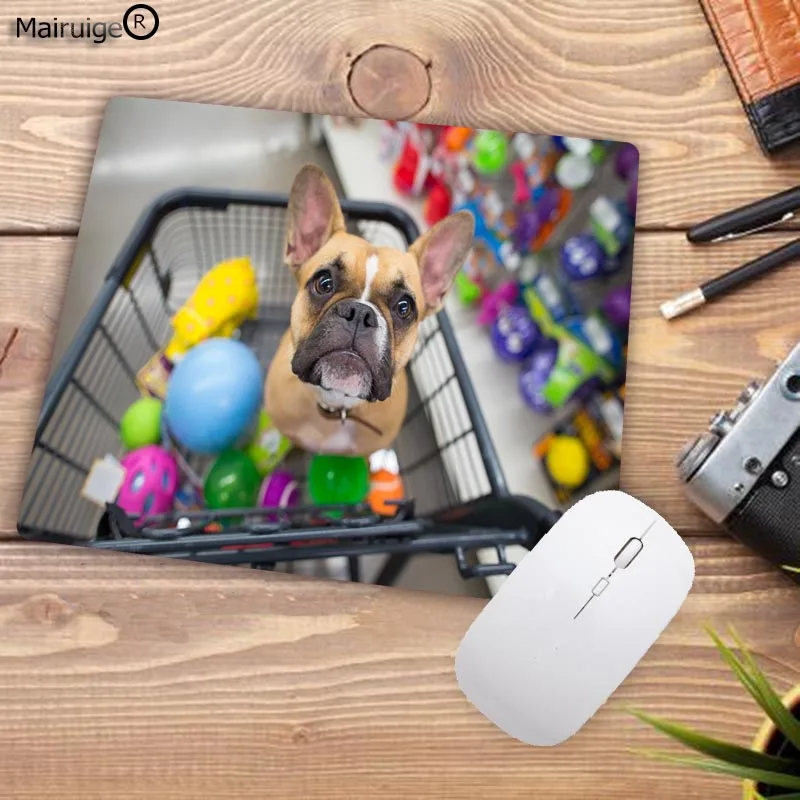 163Dog-in-Shopping-Carts