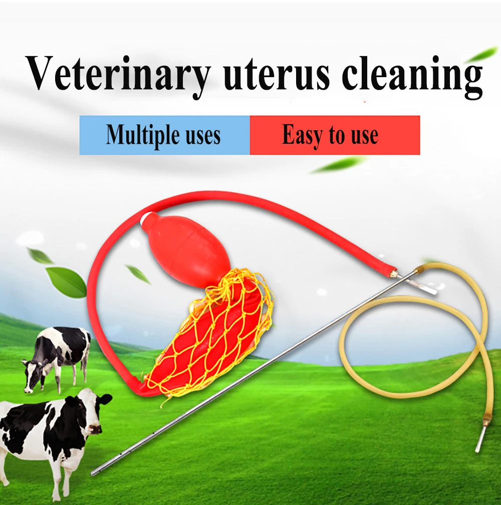 O1CN01ibPWBb1UmWRaLrzP1_!!2524602560