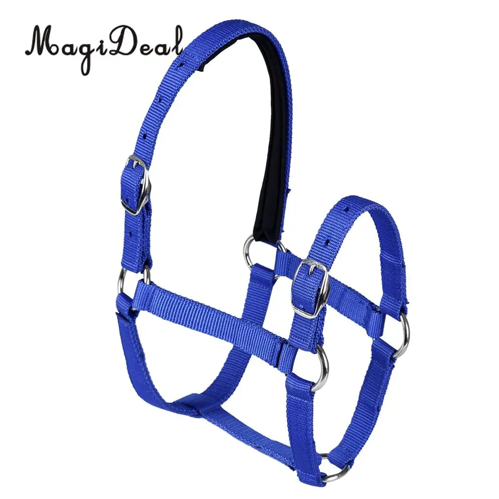 Adjustable Equestrian Western Horse Halter Fits 130cm - 165cm Horse Black/Blue/Red
