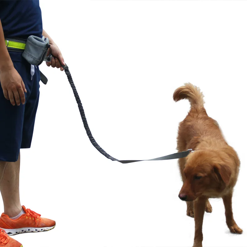 Running pet. Hands-free Dog Walking. Pet Walking.
