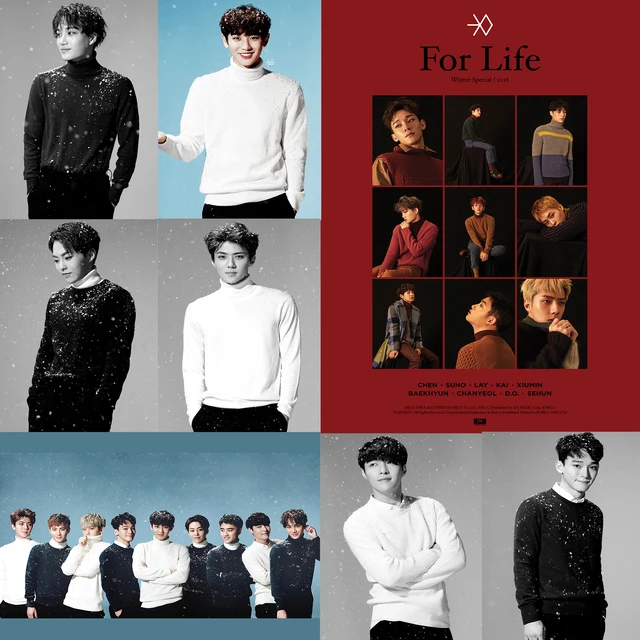 Exo Posters K Pop Wall Stickers Sing For You For Life Wall