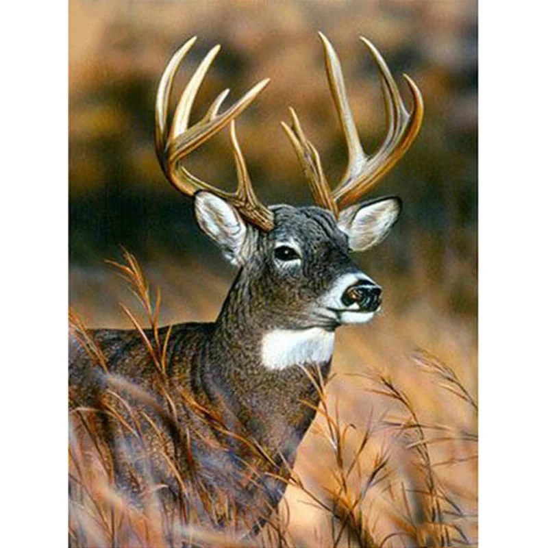 5D Animal Diamond Painting Scenic deer Full square/round Drill Mosaic