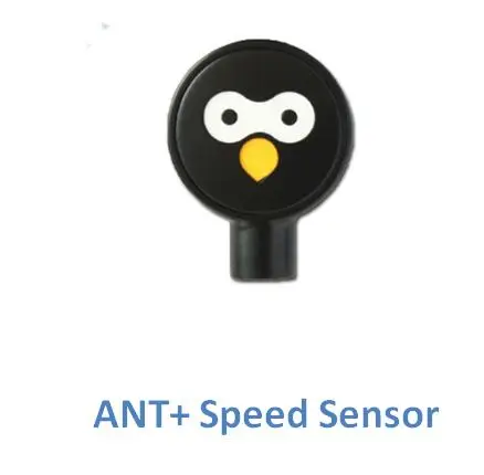 speed sensor