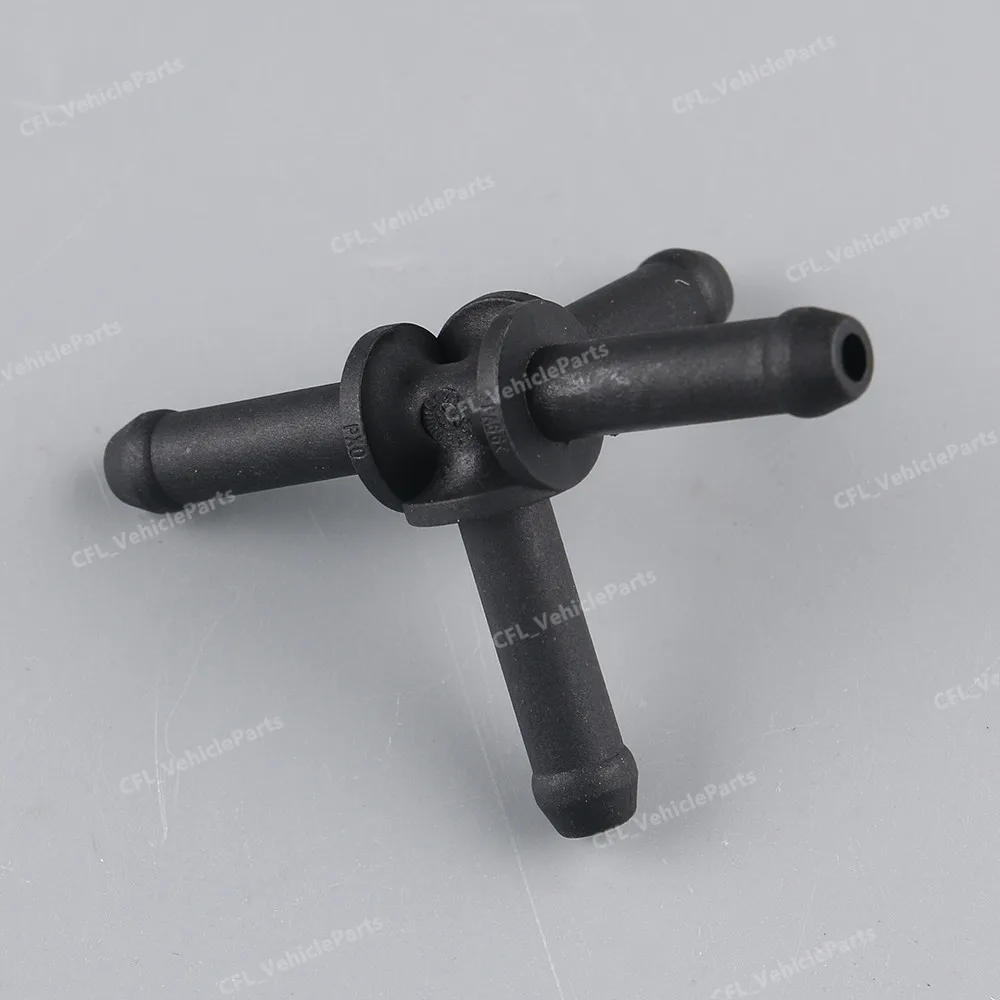 IMG_5974