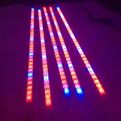 Led растение растет проблесковый маяк цветок гидропонные системы 5730SMD красный и синий