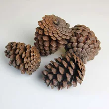 5 шт./компл. натуральные сосновые орехи Искусственные Поддельные фрукты цветок для дома свадебное украшение для вечеринок Рождественское украшение для рождественнской елки