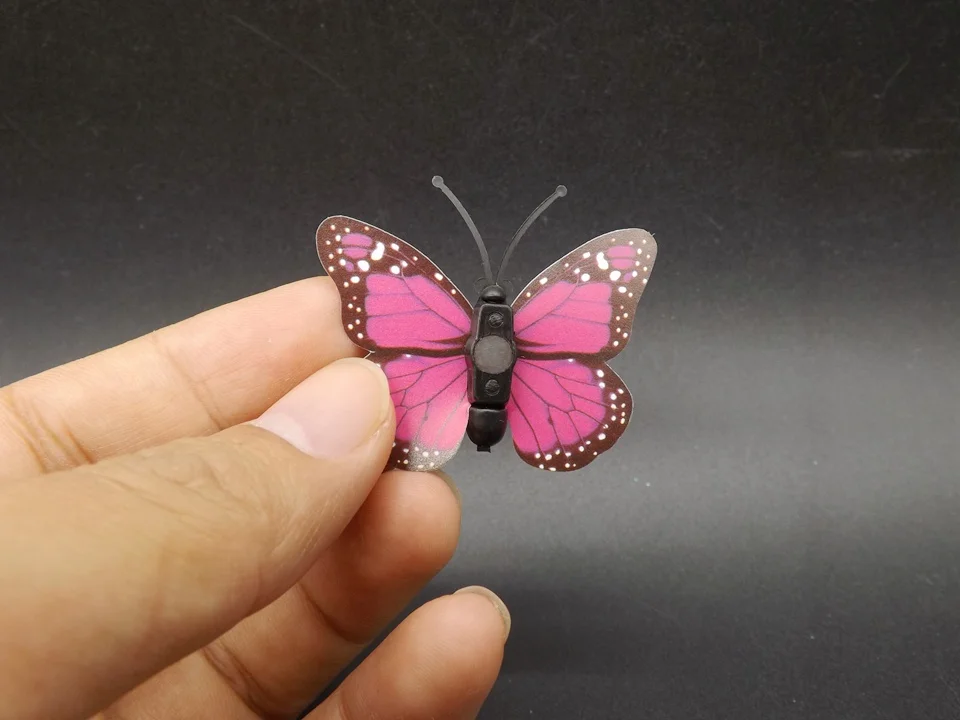 I249-Butterfly (4)