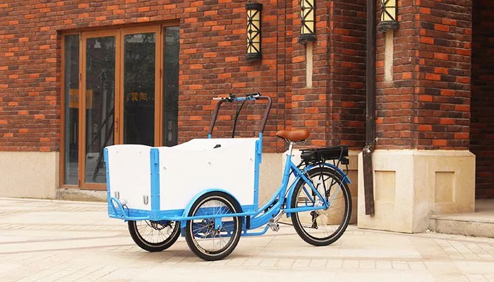 Дания передняя загрузка 3 колеса Электрический детский трехколесный грузовой велосипед/взрослые грузовой велосипед цена