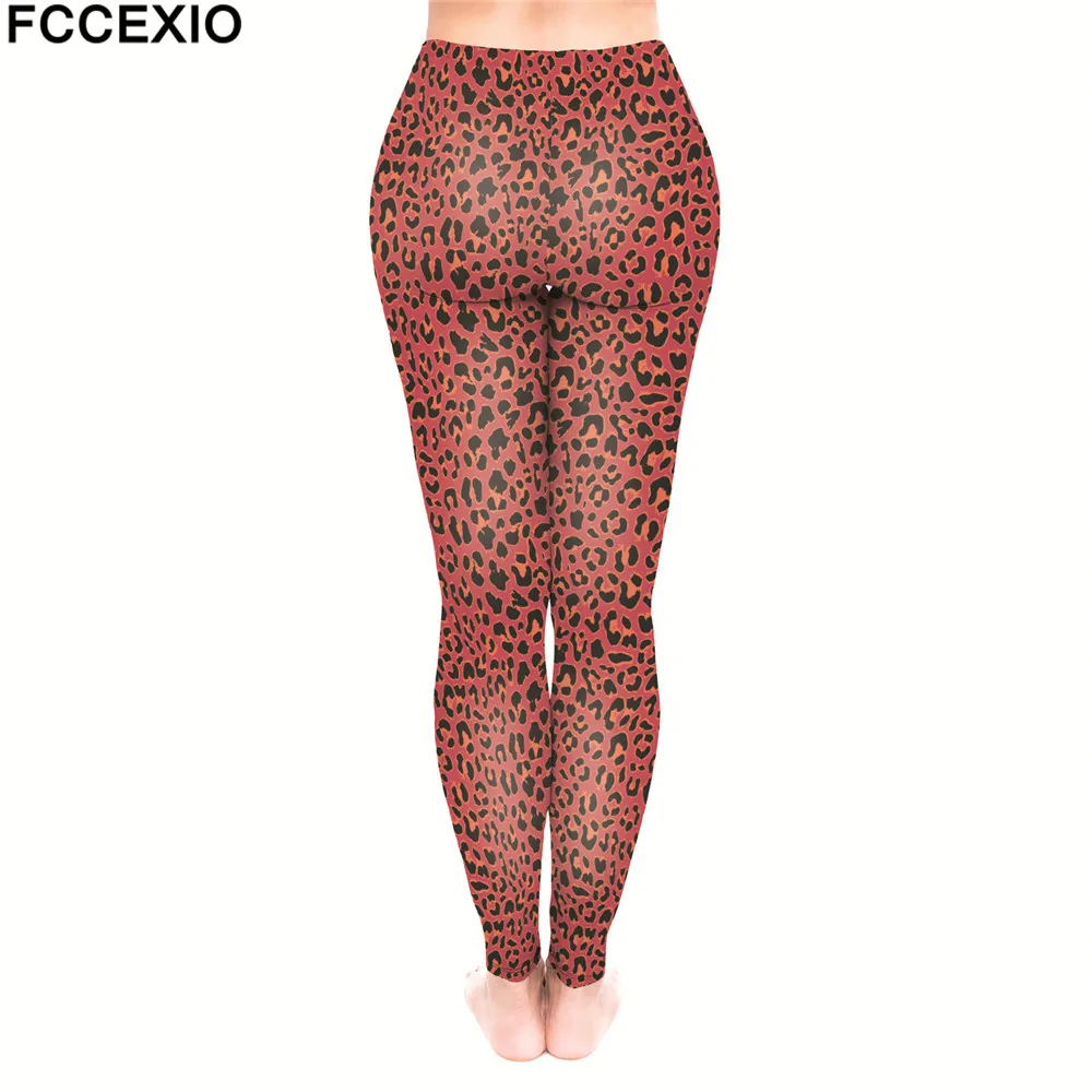 54674 red leo (2)