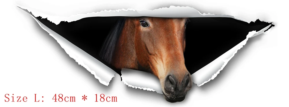 horse papper born 48.2x18cm