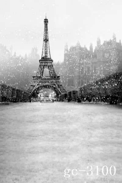 

SHENGYONGBAO Vinyl Custom Photography Backdrops Prop Digital Printed Eifel Tower in Paris Theme Photography Background GC-3100