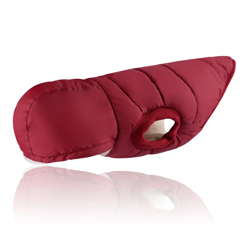 Winter Dog Clothes (8)