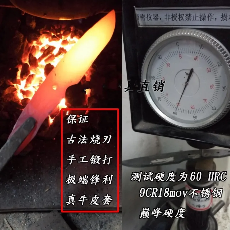 TB2jzZ4lpXXXXbNXXXXXXXXXXXX_!!533858866