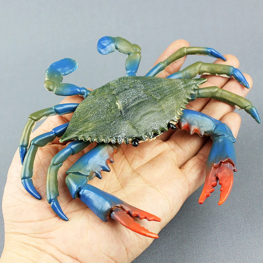 17cm Blue Crab Realistic Sea Animals Model Solid Figure Ocean Toy For Kid Gift 