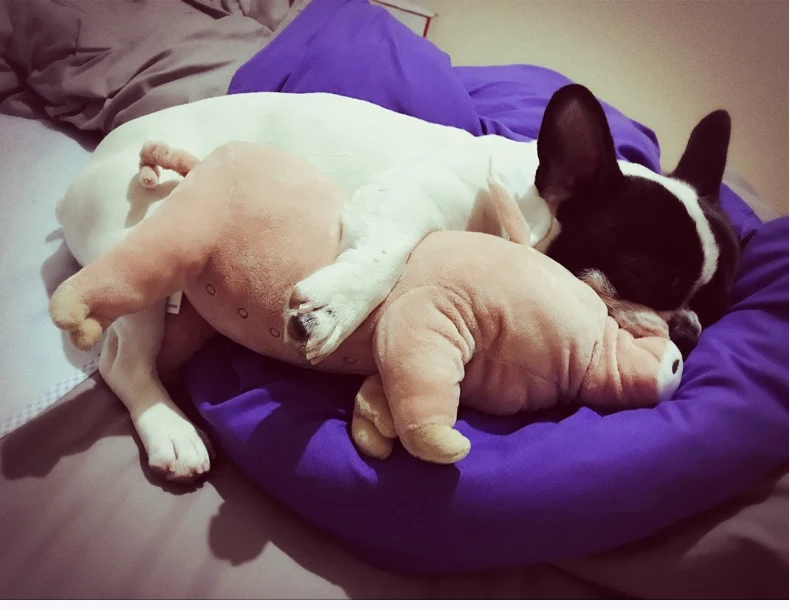 Собака Спящая партнер забавная игрушка собака щенок короткая плюшевая маленькая поросенок милый дизайн подушка для питомца мягкая