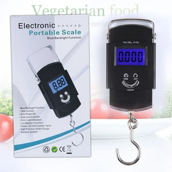 

Heavy electronic hook hand holding the spring scale portable home