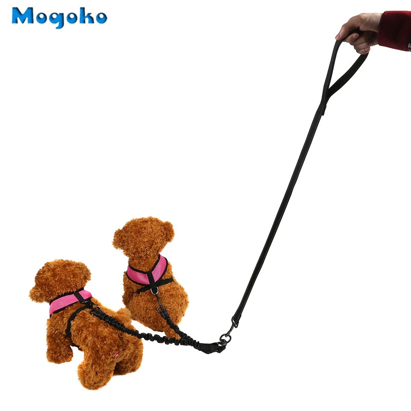 double dog leash swivel