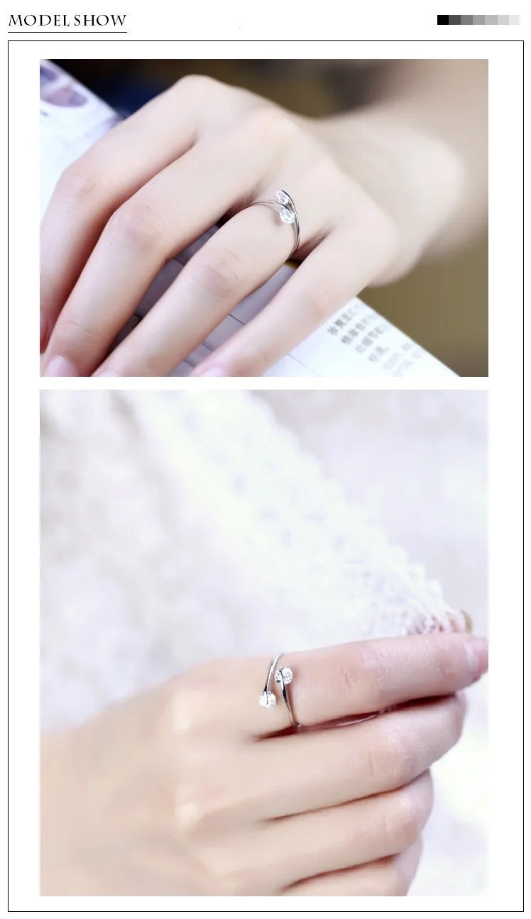 China ring diagram Supplier (7)