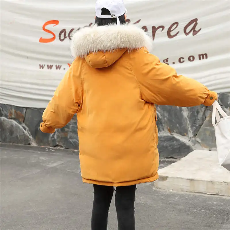 XLB81114605_20181114025539196