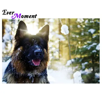 

Ever Moment Diamond Painting Cross Stitch Dog Sunshine Snow Full Square Drill 5D DIY Diamond Embroidery Mosaic Decor S2F1880