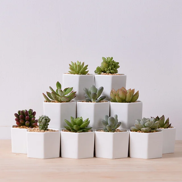Creative Hexagonal White Ceramic Planter Desktop Mini Potted Flower Creative Hexagonal White Ceramic Planter Desktop Mini Potted Flower Pot Z Pottery Bonsai For Succulent