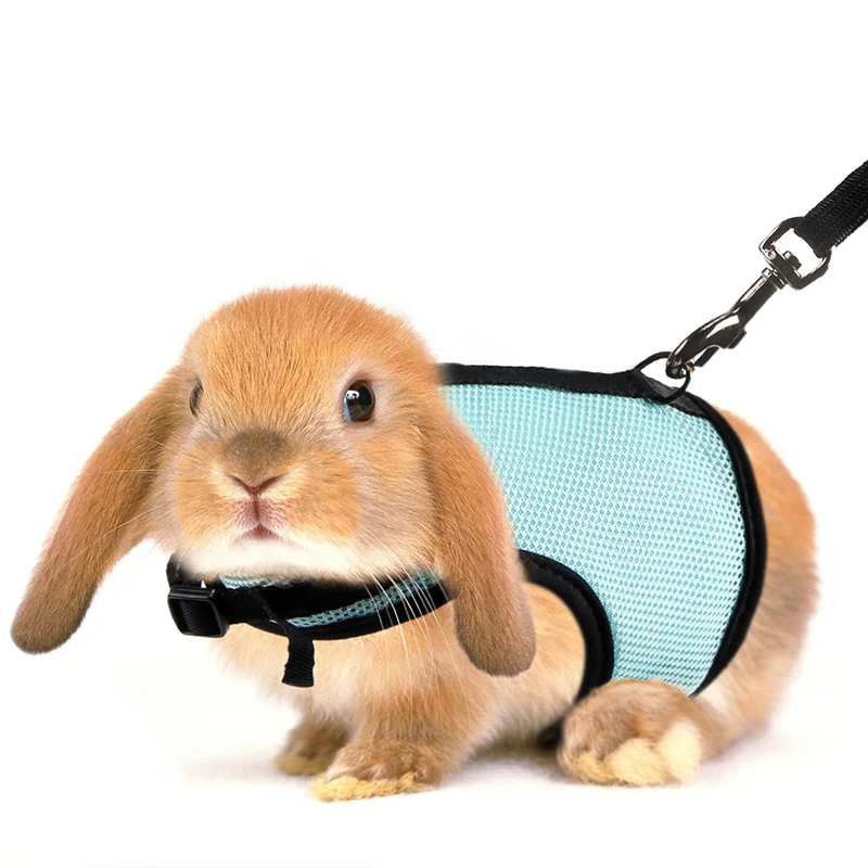 

4 Colors Hamster Rabbit Harness And Leash Set Ferret Guinea Pig Small Animal Pet Walk Lead S/M/L Pet rabbit Supplies