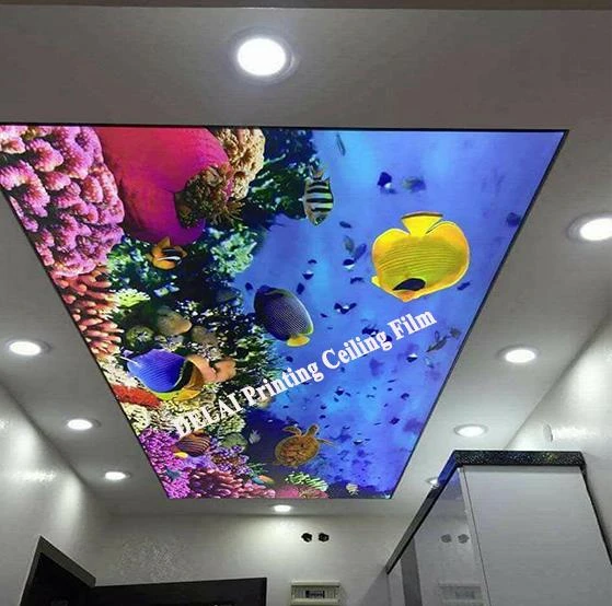 Von 0112 Unterwasser Finsh Schone Ansicht 3d Decke Film Mit Kronleuchter In Der Mitte Stretch Decken Wohnzimmer Wallpapers Aliexpress 