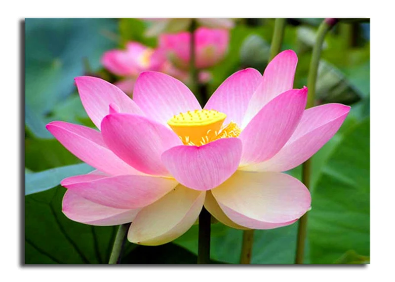 08cc67_8c6003f439d54351bd0af7778ad2af67_mv2