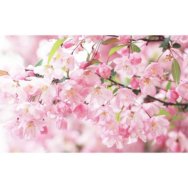 Full Square Drill 5D DIY Diamond Painting flowers cross stitch crystal round diamond LK1