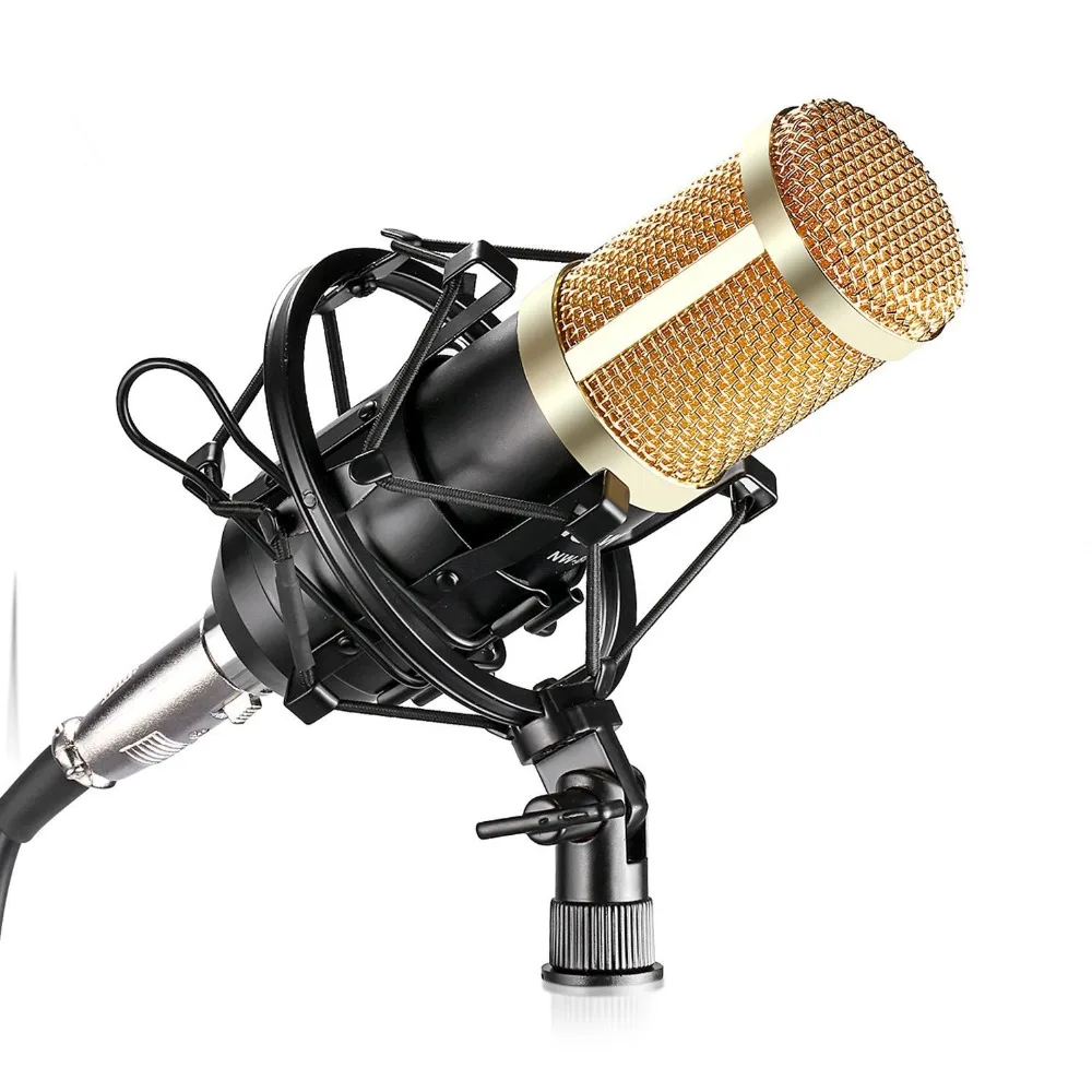 Neewer NW 800 Professional Studio Microphone SetMic+Mic Shock Mount