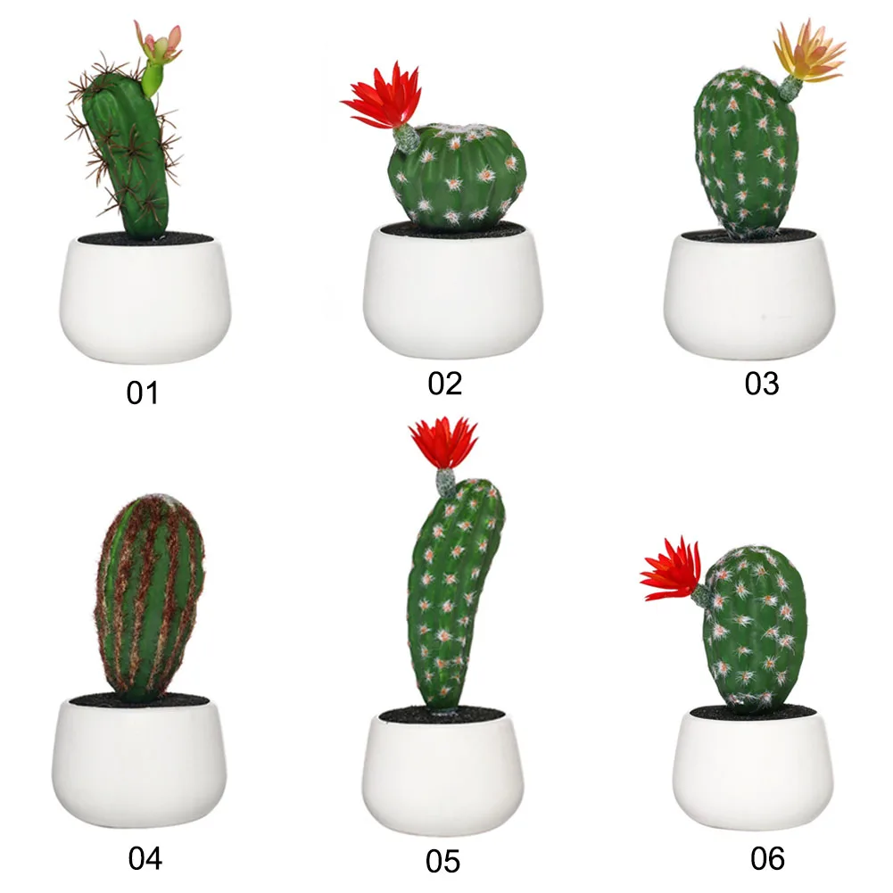 Мини Кактусы В Горшках Купить