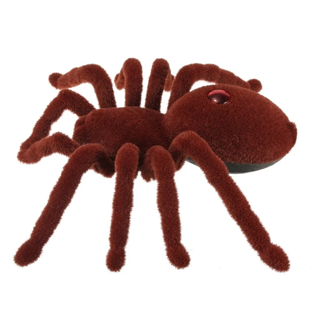 XYG-Spider-787_02
