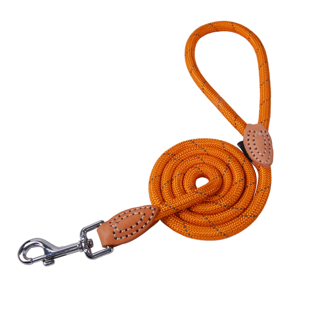 Dog Leashes For Dogs Outdoor Training Leash For Small Dog Puppy Leash Control Rope Durable Nylon Leads For Pet Dog Leash PY0229 (2)