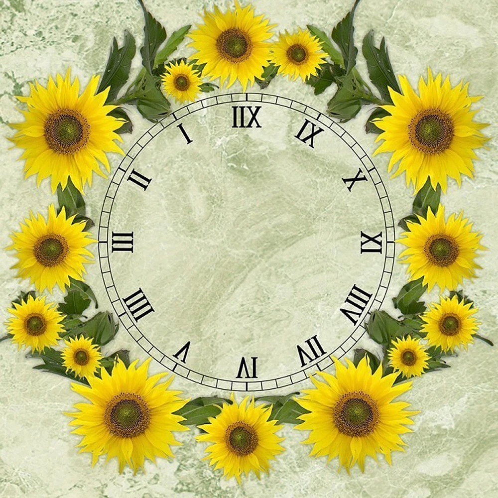 LIE800002995   50X50