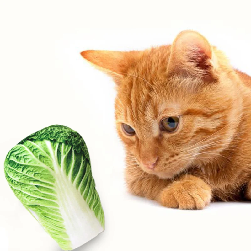 Pet Cat Toy Plush Canvas Bite Toys Catnip Cat Cite Vocal Creative Simulation Vegetable Chicken Bone Toy Chew Squeak Toy 41 A1 Pet Cat Toy Plush Canvas Bite Toys Catnip Cat Cite Vocal Creative Simulation Vegetable Chicken Bone Toy Chew Squeak Toy 41 A1