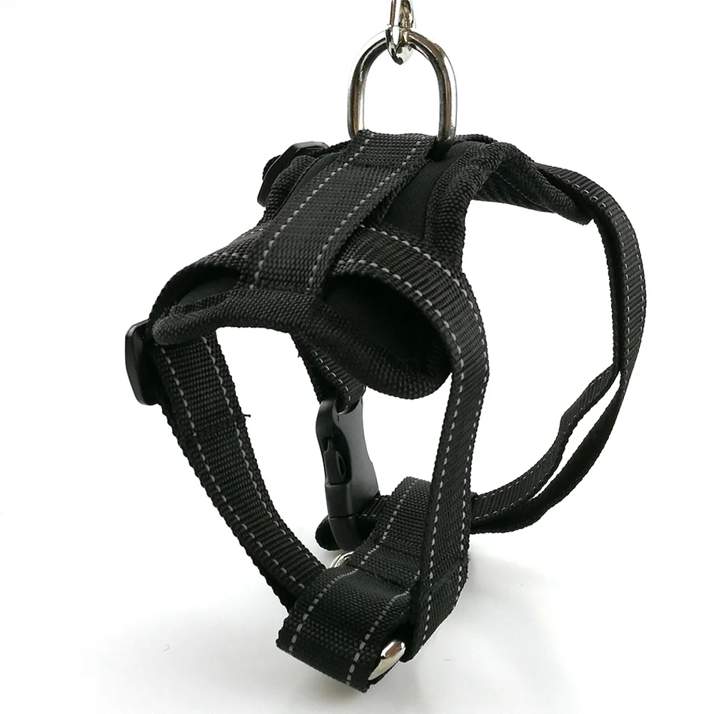 PY0023 black