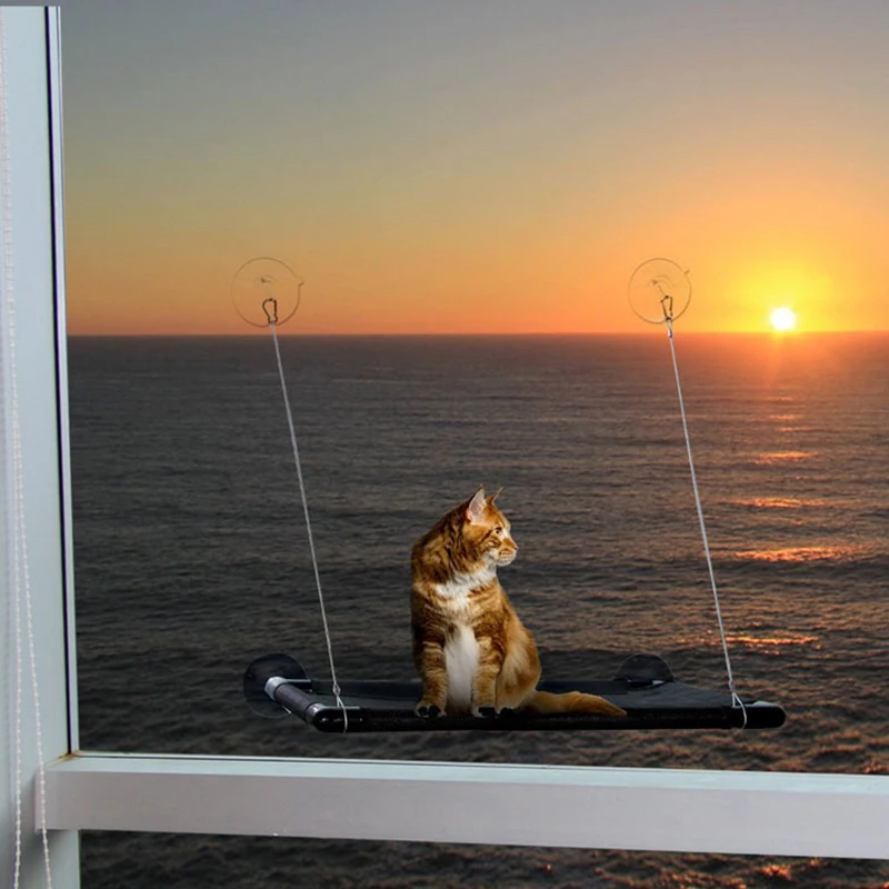 800-3