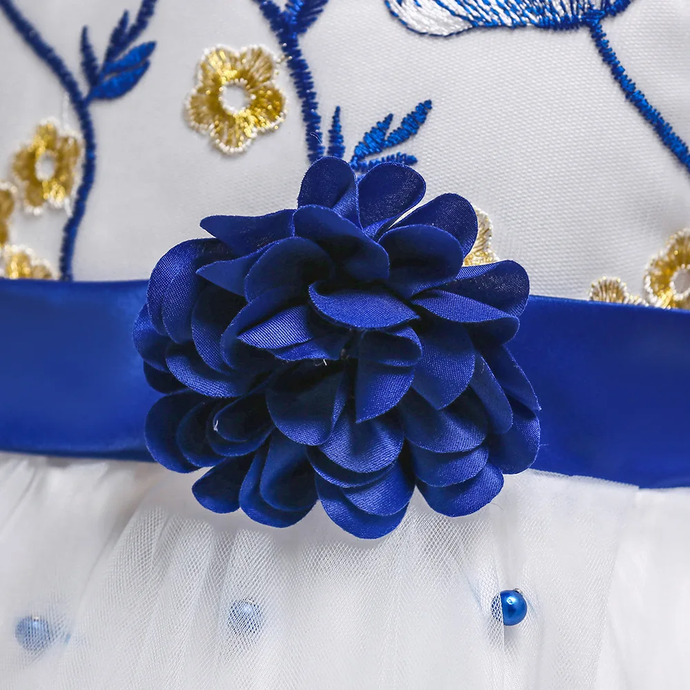 Embroidery Flower Girls Dress 2018 New Tulle Princess Party Wedding Kids Dresses For Girls 14 Year Teenage Children Costume Prom (14)