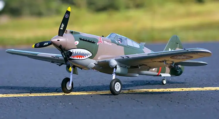 P409806